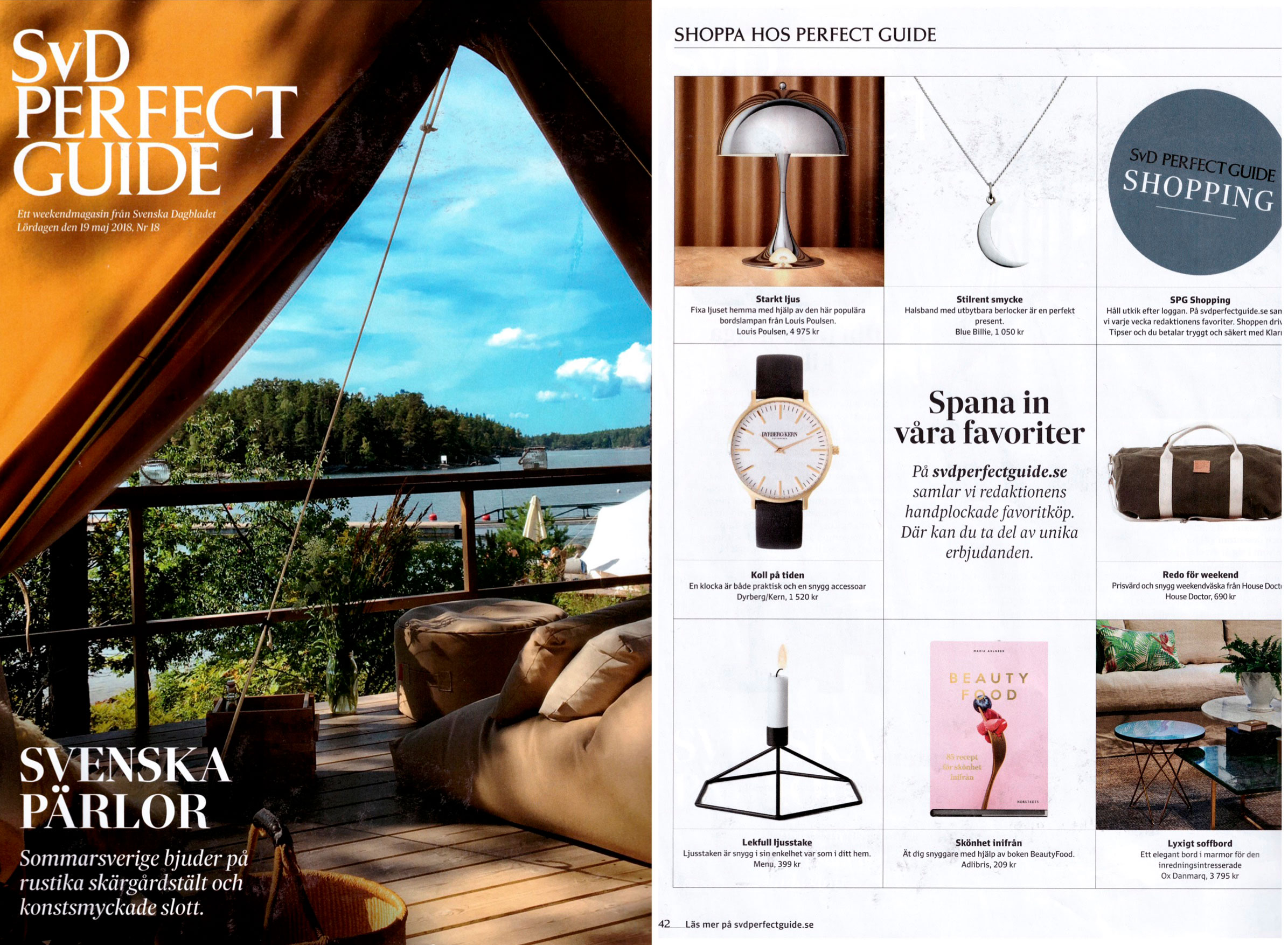 SVD PERFECT GUIDE #18 2018